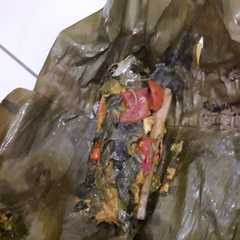 รูปของ Pepes kembung