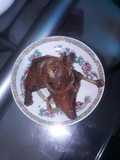 Pepperd chicken