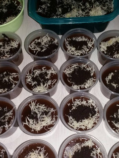 Foto resep Puding Silky Coklat Oreo Keju