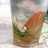 Infuse Water Kurma (Air Nabeez) #PekanInspirasi
