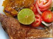 Una foto de pargo recetas sin horno