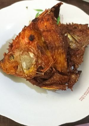 Foto resep Nila Goreng Gurih