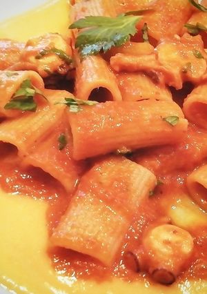 Una foto de Rigatoni al ragù de Pulpo con base de crema de Calabaza