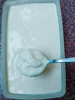 Foto resep Yoghurt Homemade