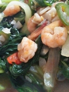 Foto resep Tumis pakcoy udang saos tiram