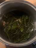 Nettle Stickyweed Tea