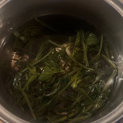 A picture of Nettle Stickyweed Tea.