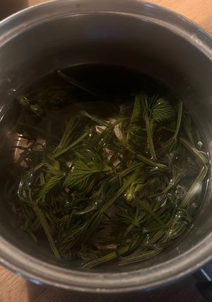 A picture of Nettle Stickyweed Tea.