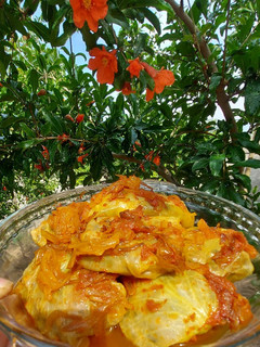 عکسی از دستور 😋دلمه کلم برگ 😋