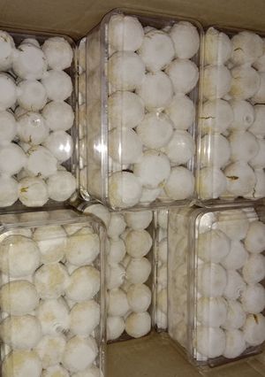 Foto resep Putri salju resep chalistaa kitchen