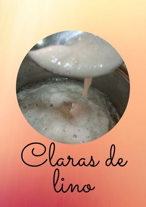 Una foto de Claras de lino (reemplazo de huevo)