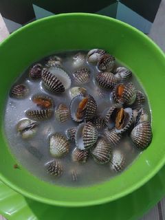 Foto resep Soup Kerang Dara