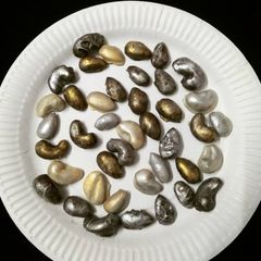 A picture of Chocolate Coated Nuts.