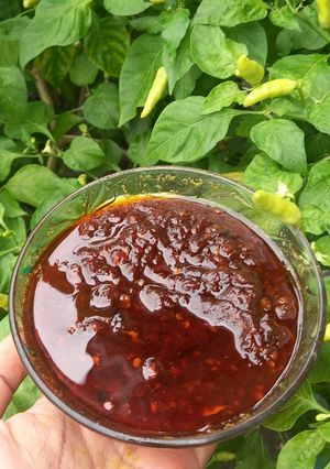 Foto resep Sambal ayam bakar
