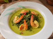 Gambar daun pakis udang