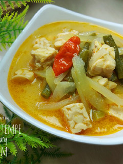 Foto resep Sayur Lodeh Tempe Kacang Panjang Labu Siam