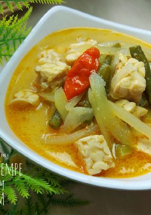 Foto resep Sayur Lodeh Tempe Kacang Panjang Labu Siam