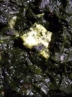 পালং পনির (palak paneer recipe in Bengali) রেসিপির প্রধান ছবি