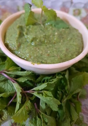 ફુદીનાની ચટણી(phudino chutney in Gujarati) રેસીપી મુખ્ય ફોટો