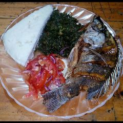 A picture of Tilapia fish.