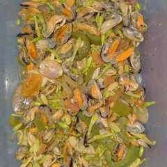 รูปของ Tumis Bunga Pepaya Kerang Paprika