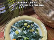 Gambar pucuk turi
