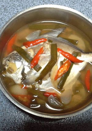 Foto resep 🐠Tim ikan bawal magicom🐠