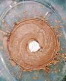 Mantequilla de maní con cacao