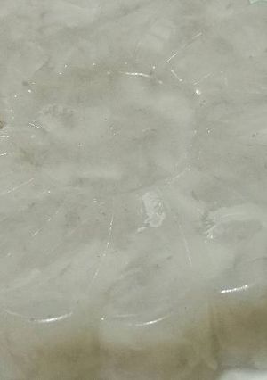 Foto resep Agar-agar Kelapa Muda