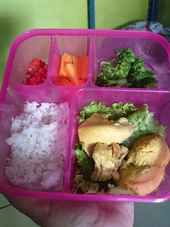 Foto resep 18. Ayam ungkep for diet