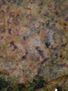 मेथी का पराठा (Methi ka paratha recipe in hindi) रेसिपी मुख्य फोटो