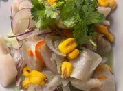 Una foto de reineta pescado