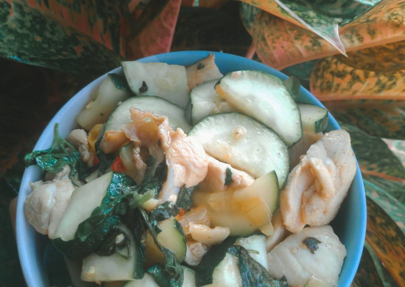 Ayam Zucchini Tumis Sehat tanpa minyak