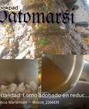 Especialidad: Lomo adobado en reducción con caldo de carne_ salsa demiglass con vino tinto