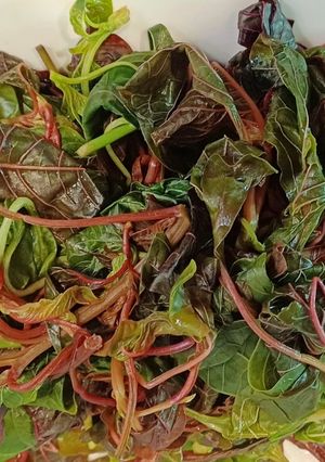 Hình của món Rau dền đỏ luộc.