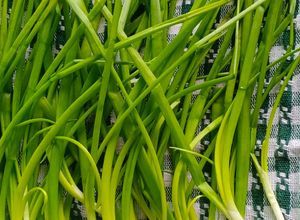 Gambar Tips:Cara menyimpan daun bawang agar kekal segar