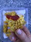 Deditos de pollo crocantes