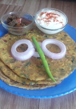 A picture of Methi thepla.