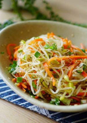 簡單高纖涼拌菜~涼拌豆芽菜(黃豆芽)! 食譜影片 的食譜成品照片