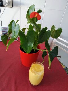 Una foto de Smoothie de mango, piña y bebida de avena