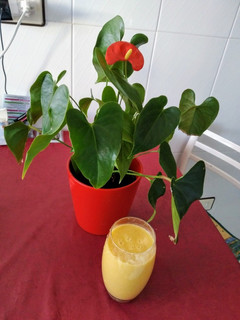 Foto principal de Smoothie de mango, piña y bebida de avena