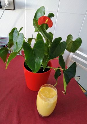 Una foto de Smoothie de mango, piña y bebida de avena