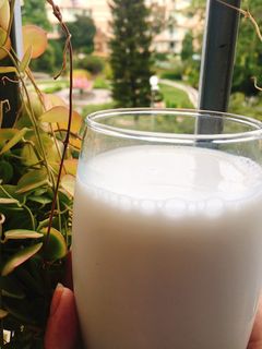 Hình của món Sữa hạt sen.