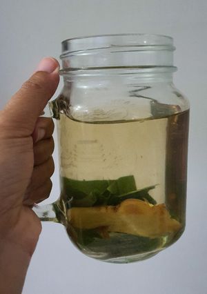 Foto resep Infused Jahe Pandan