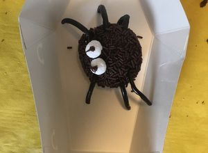 Foto di Ragnetto di cioccolata