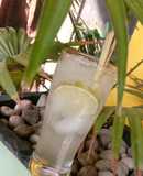 Lime Squash