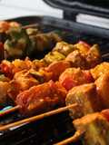 Vegetable Paneer Tikka Grill