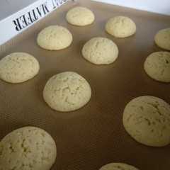 รูปของ Lemon Zesty Milna (baby rusk)