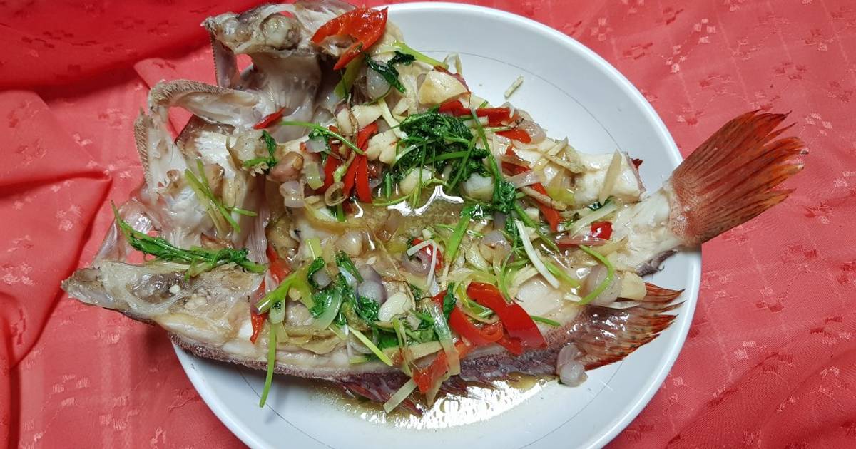 47 resep ikan  kerapu steam  hongkong enak dan sederhana ala 