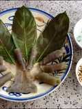 Bánh lá mít - Rau Mơ (Pandan Leaf and Wild Betel Leaf Rice Cakes)